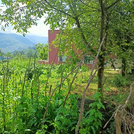 Hébergement de vacances Lines *